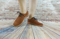 Туфлі жіночі Ditas 00-15 коричневі замша низький хід на шнурку розміри 36,40